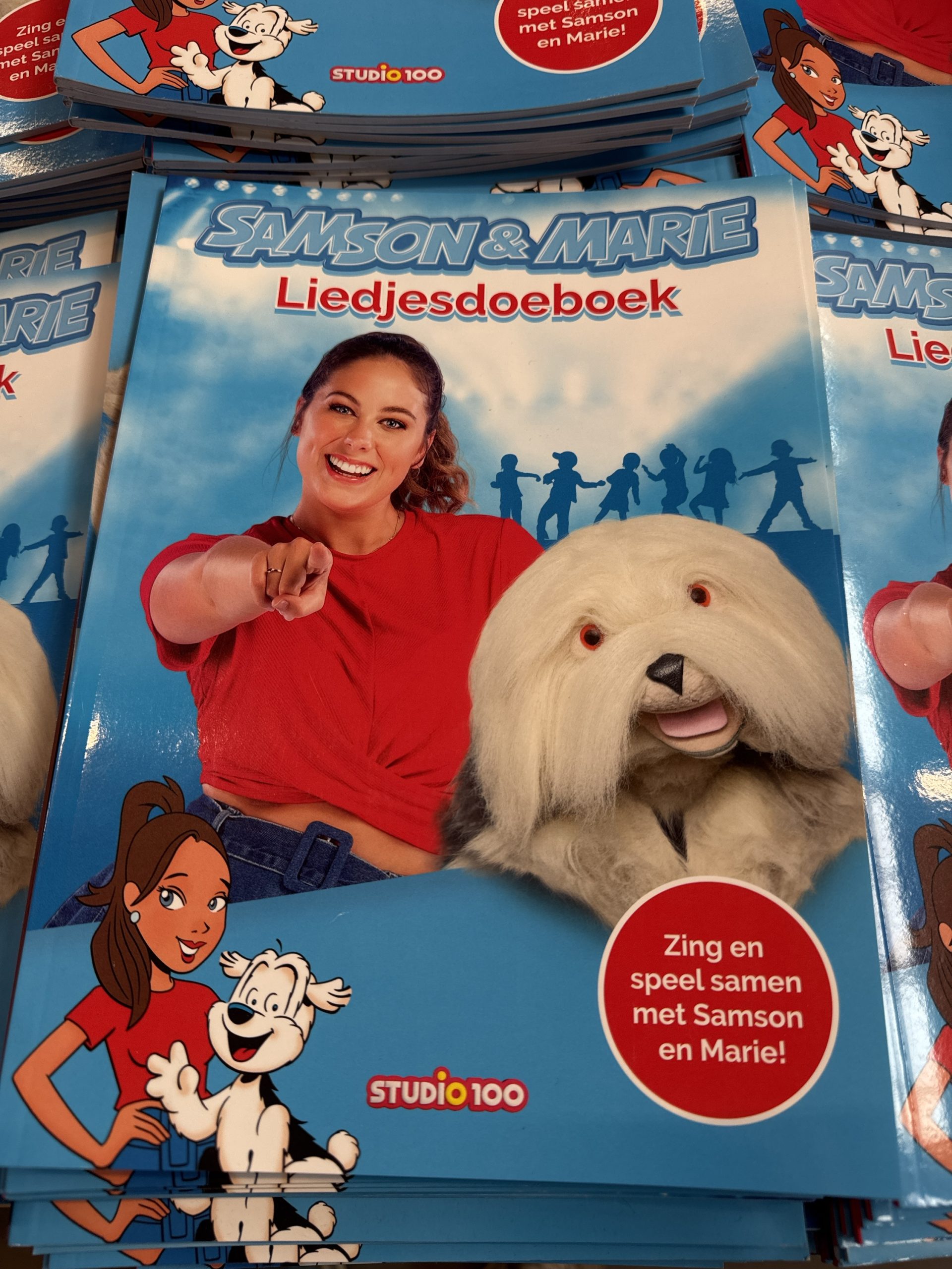 Samson en Marie liedjesdoeboek